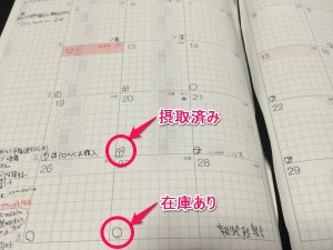 月間ダイアリーアップ